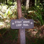 Stourt Grove sign