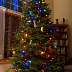 Christmas tree copy